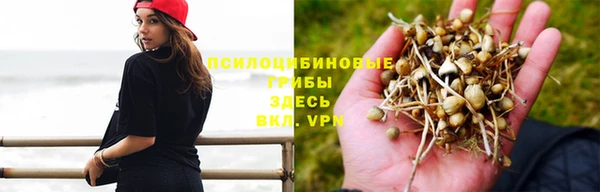 MDMA Premium VHQ Аркадак